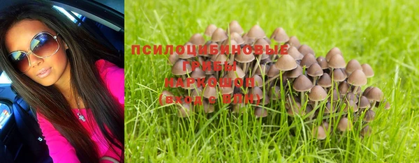 соль ск Бронницы