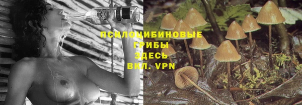 кокаин Бородино