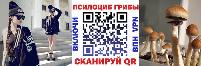 Галлюциногенные грибы Magic Shrooms  купить наркотик  Балашиха 